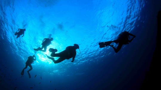 buceo islas columbretes castellon