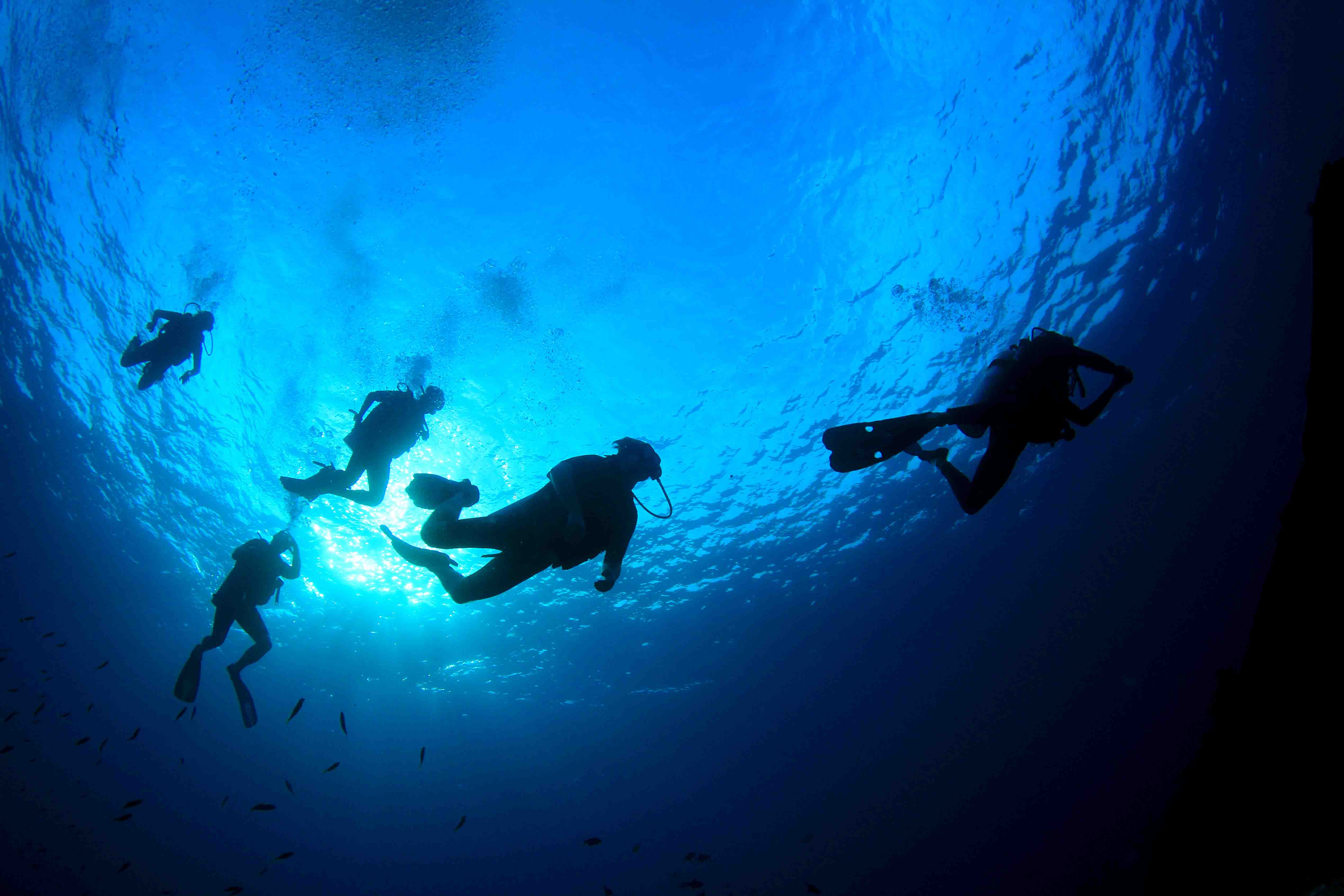 buceo islas columbretes castellon